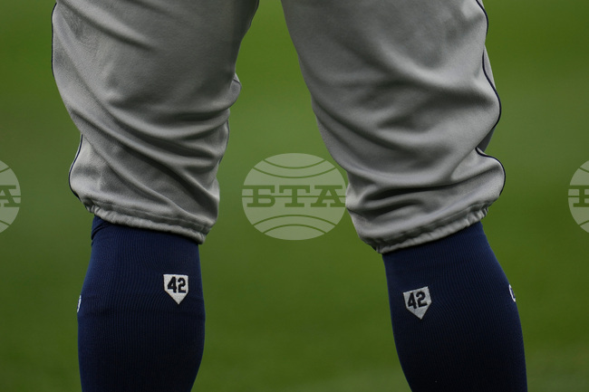 Rays White Sox Baseball