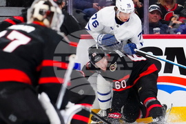 Leafs Senators Hockey