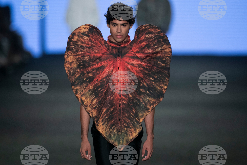 Brazil Fashion Normando