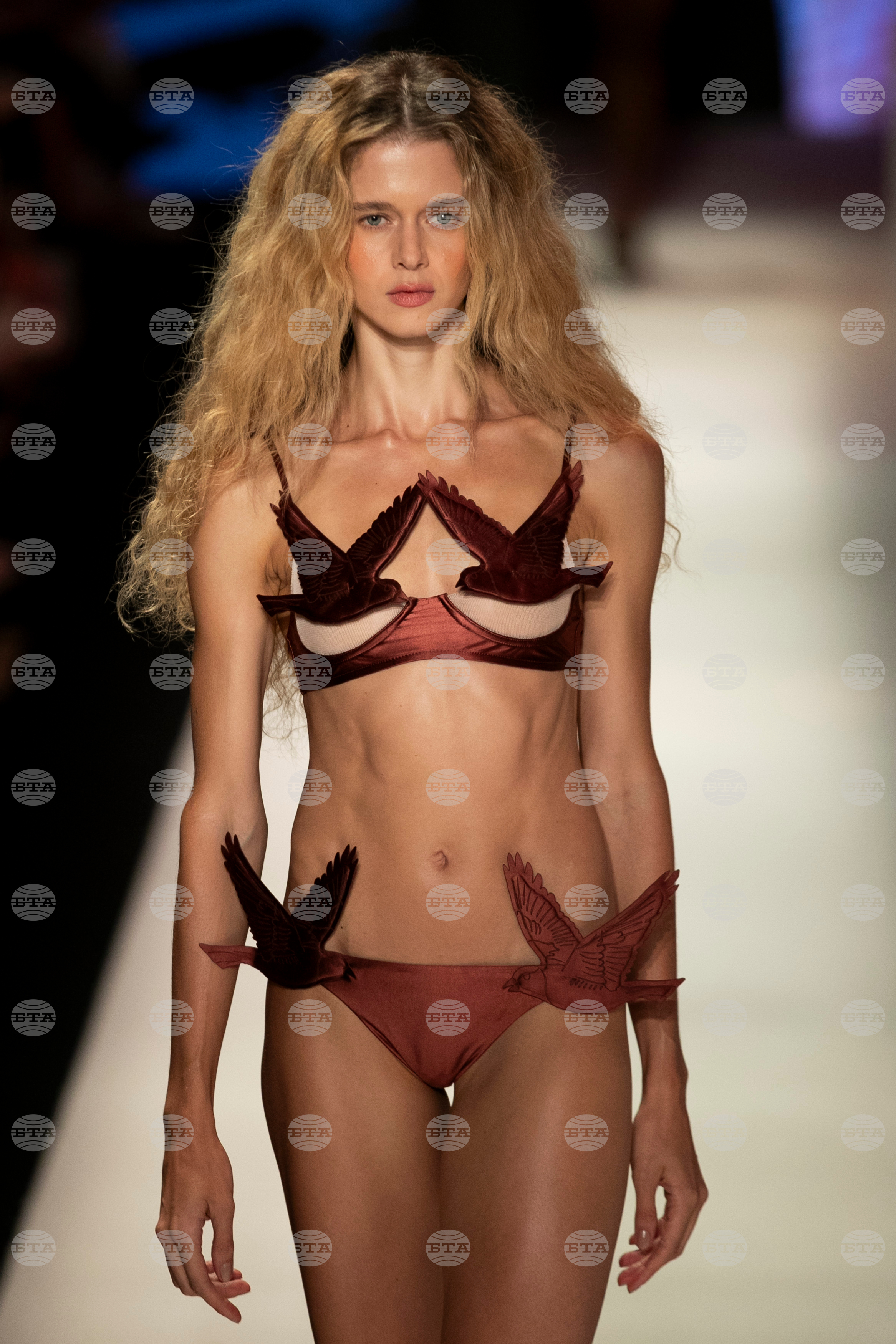 Brazil Fashion Salinas