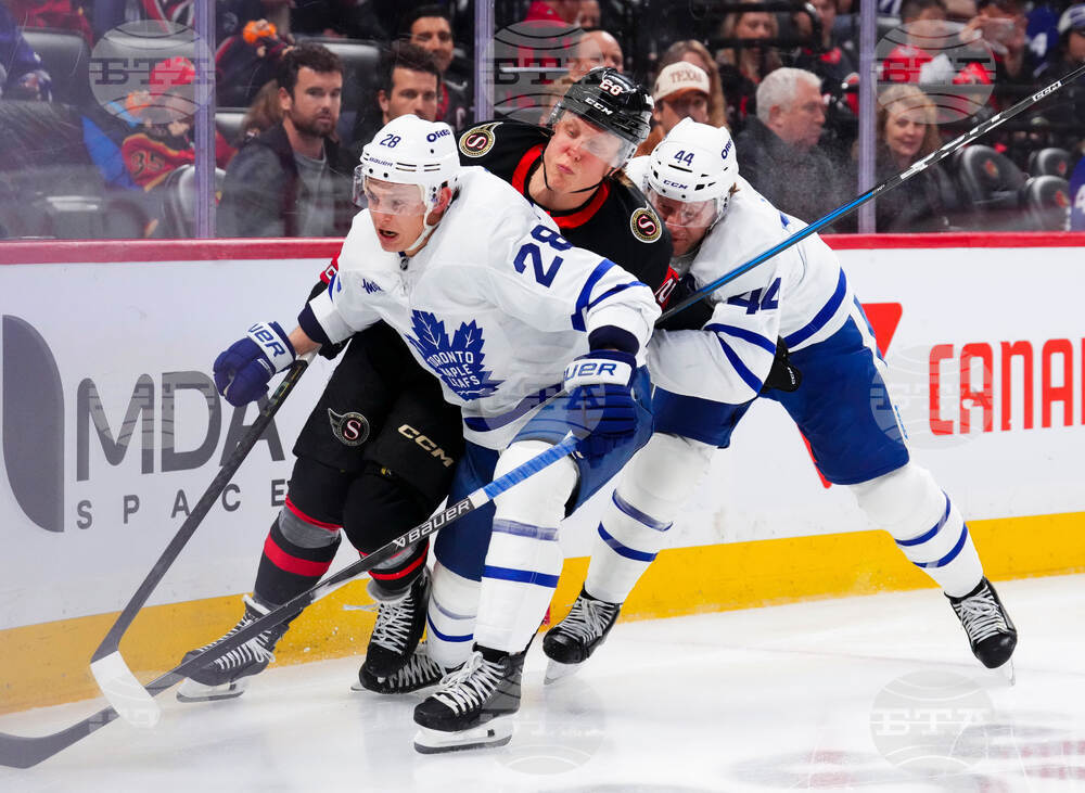 Leafs Senators Hockey