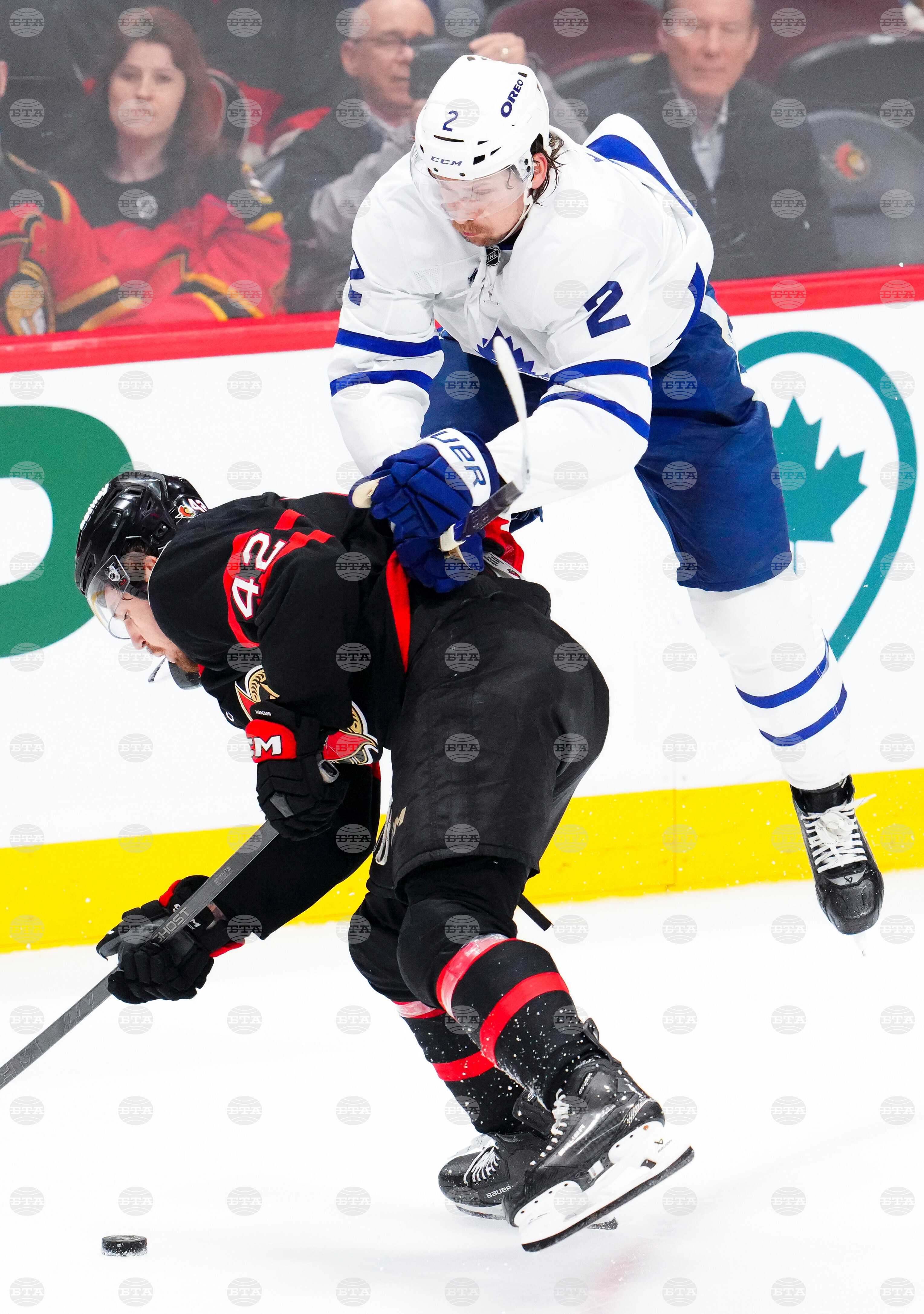 Leafs Senators Hockey