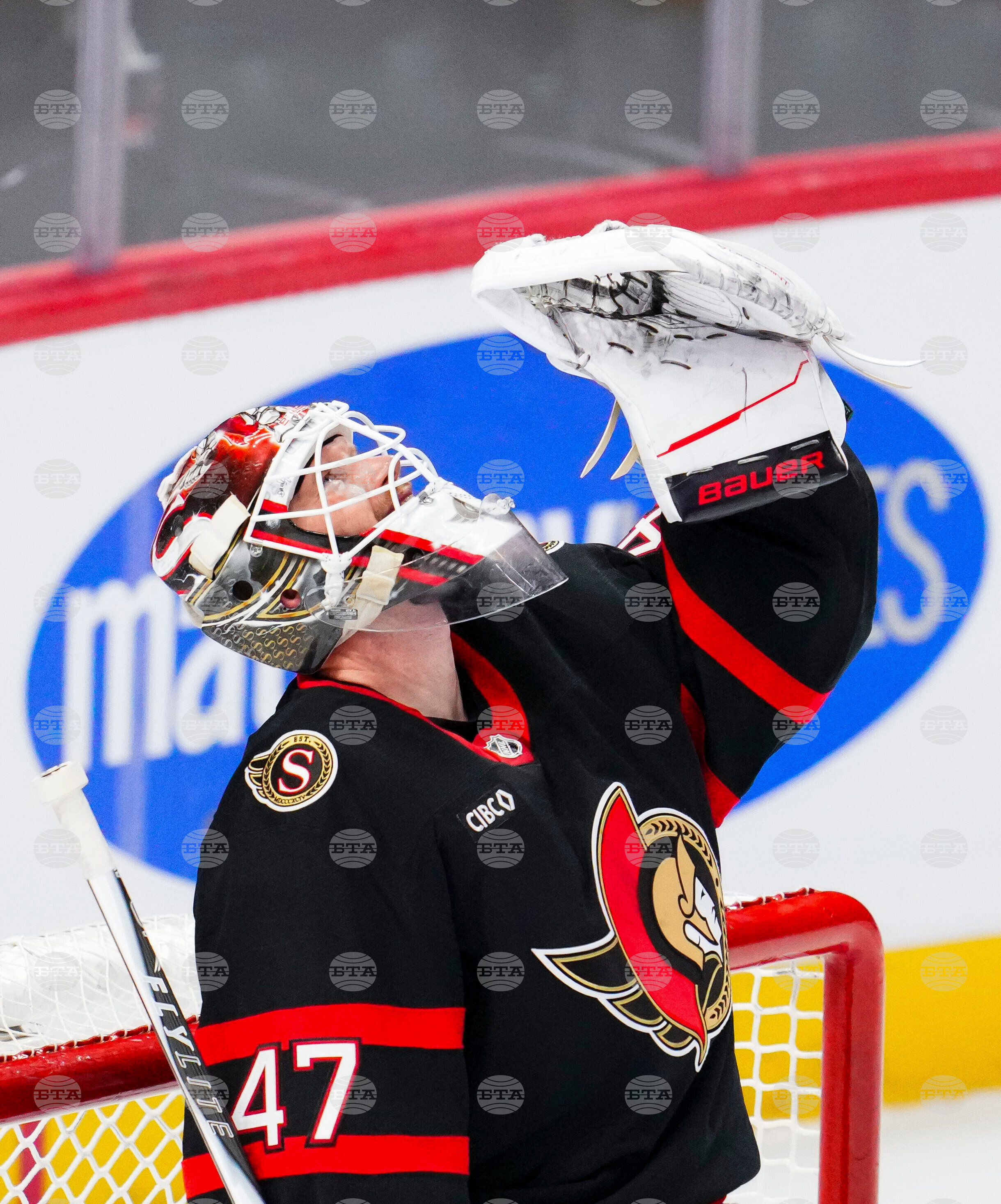 Leafs Senators Hockey