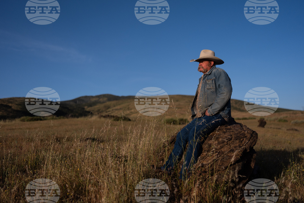 Beef Prices Ranchers