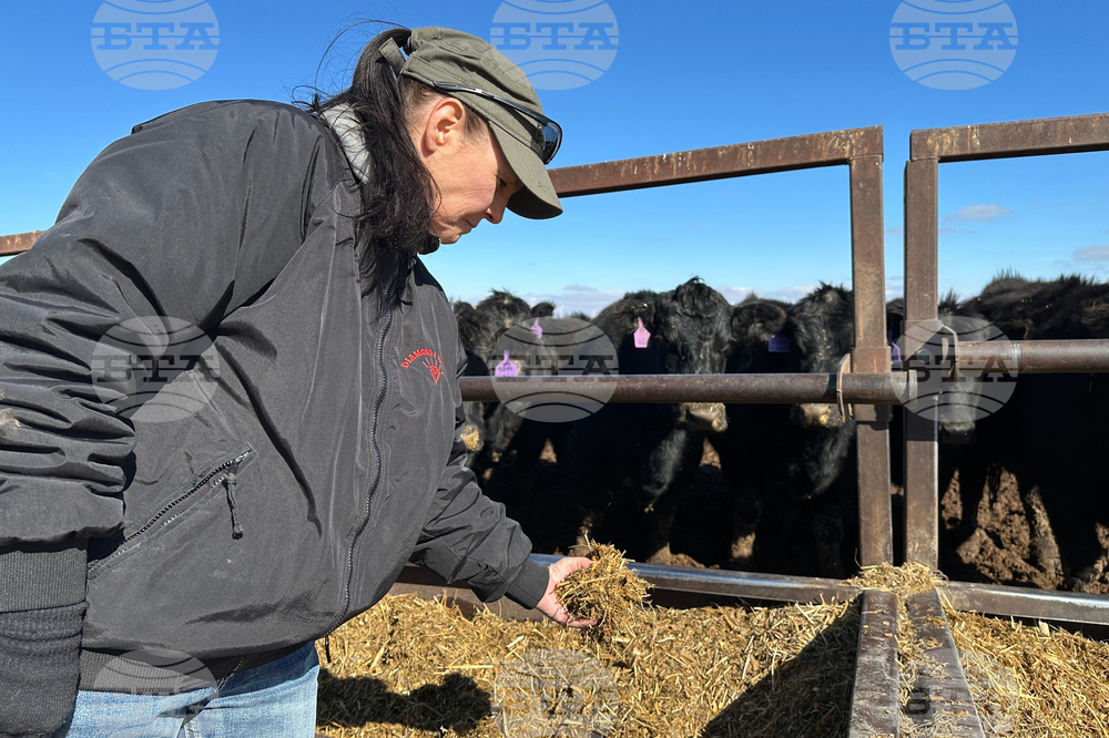 Beef Prices Ranchers