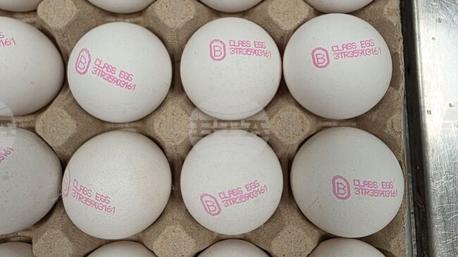 Food Safety Agency Returns 1.3 Mln Eggs To Turkiye Over Inconsistent Documents