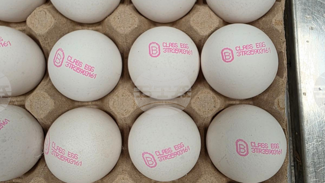 БАБХ върна близо 1,3 млн. яйца в Турция поради несъответствие в документите, съобщават от институцията