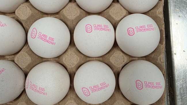 БАБХ върна близо 1,3 млн. яйца в Турция поради несъответствие в документите, съобщават от институцията
