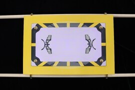 Национален пресклуб на БТА в Благоевград - „Тайнствен кивот се появи в Благоевград, откъде идва и накъде отива“ - пресконференция