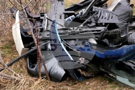 Кампания за почистване на природен парк „Витоша“