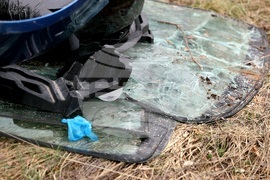 Кампания за почистване на природен парк „Витоша“