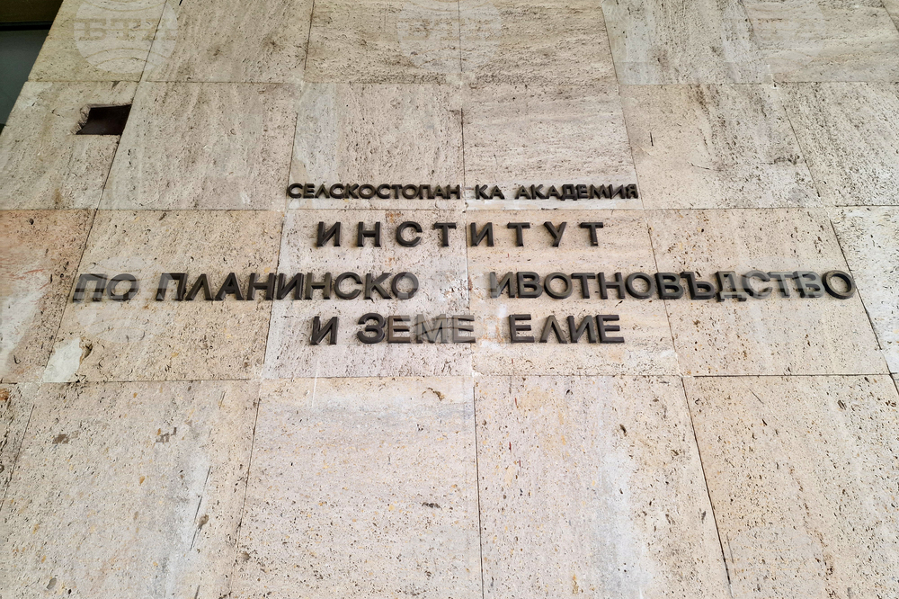 Троян - форум по говедовъдство