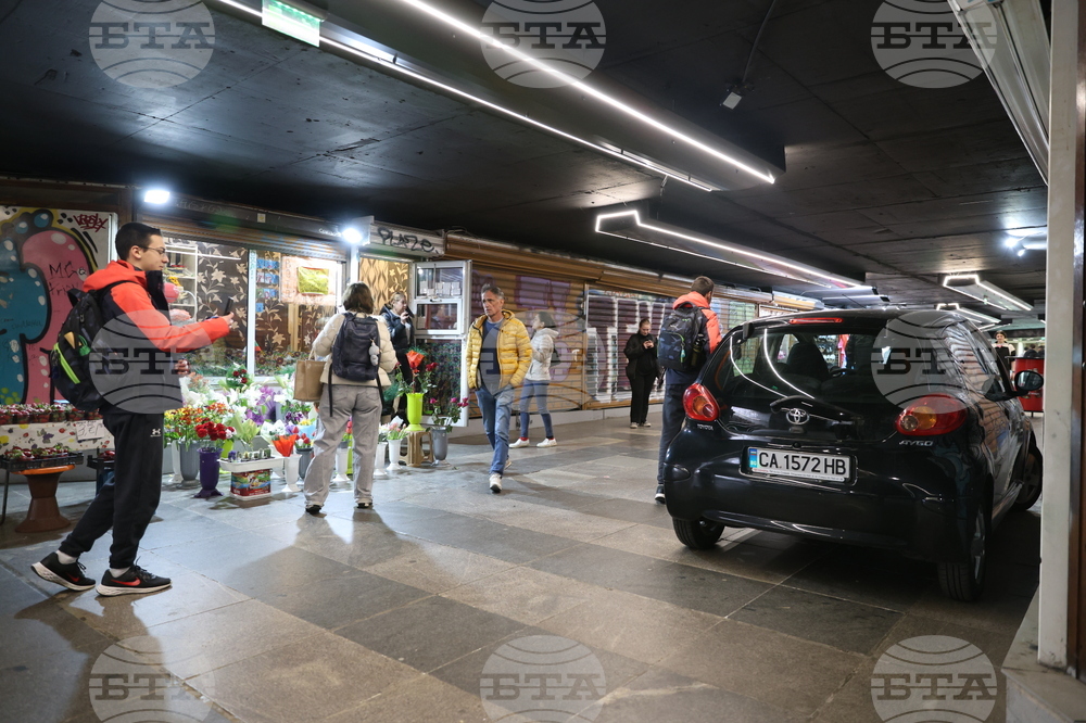 Орлов мост - подлез - автомобил