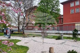 Пловдив - празник Ханами - честване