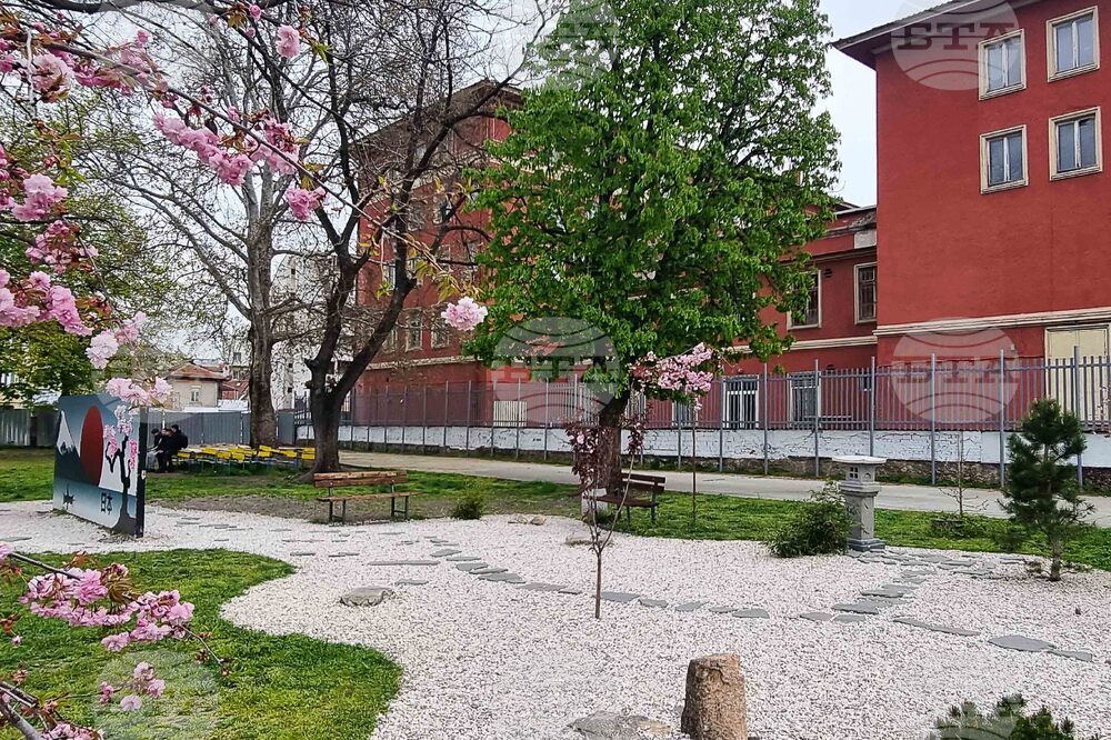 Пловдив - празник Ханами - честване