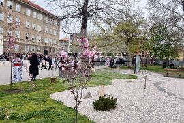 Пловдив - празник Ханами - честване