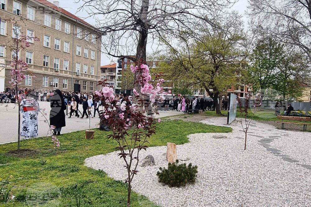 Пловдив - празник Ханами - честване