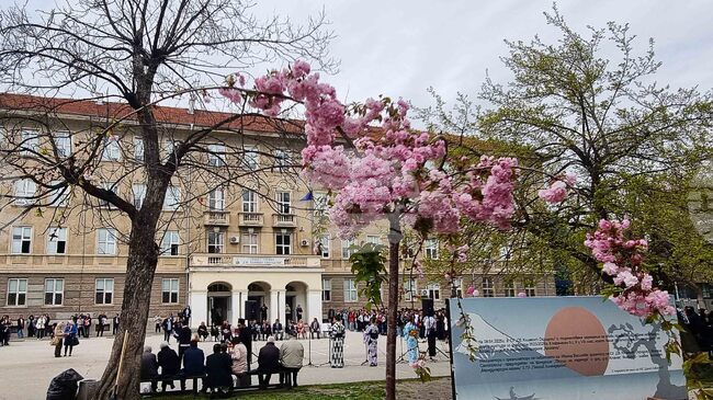 Японският посланик бе гост на празника Ханами в Средно училище „Св. Климент Охридски“ в Пловдив 