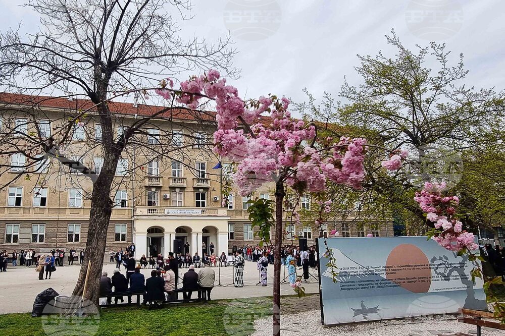 Пловдив - празник Ханами - честване