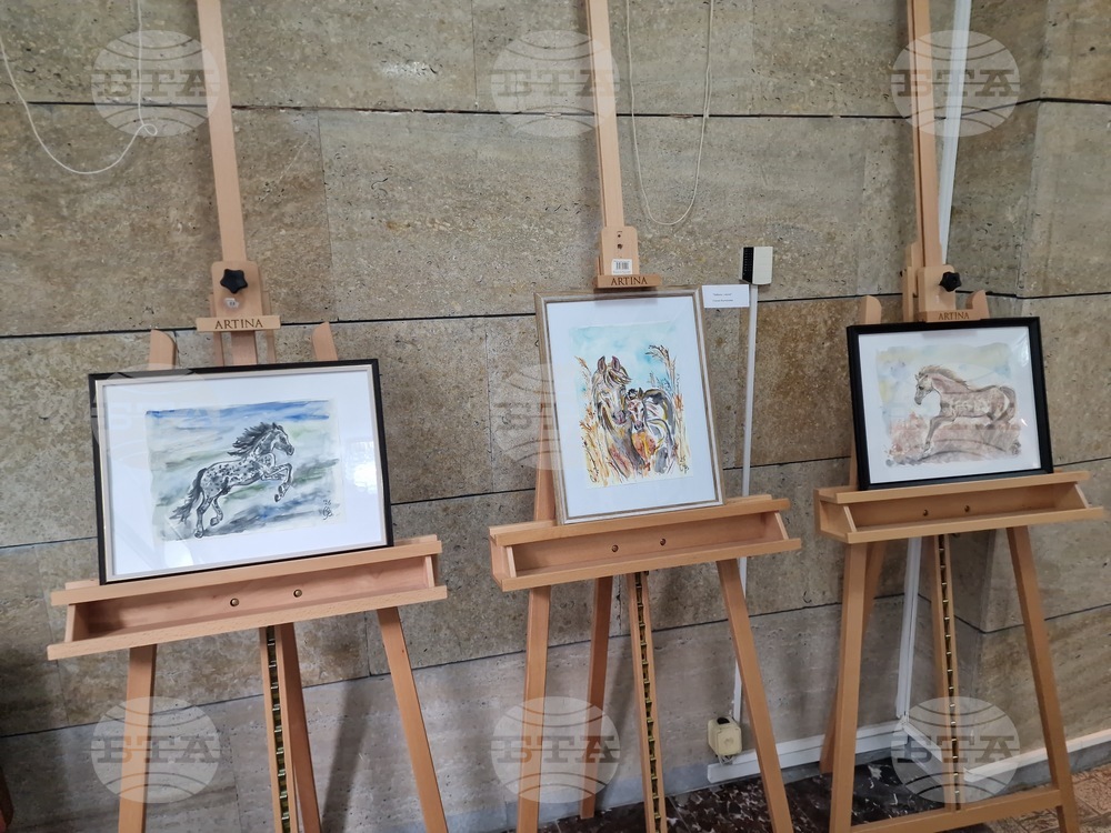 Търговище - изложба „Огън и вода“