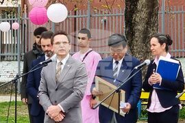 Пловдив - празник Ханами - честване