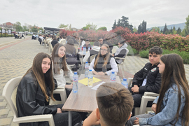 Петрич - Исторически музей - Общински исторически турнир „Изборът на свободата“