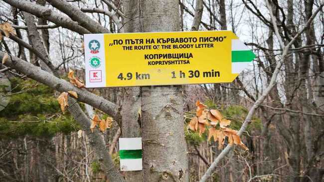 Обновяване на 400 км туристически маршрути с нова марикровкиа планират от БТС и "Кауфланд"