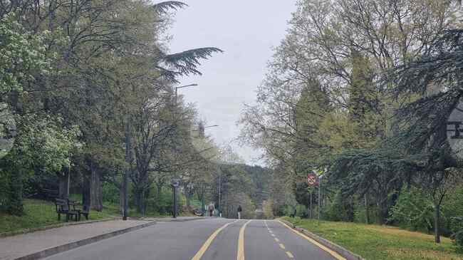 Започва цялостно обследване на дърветата и храстите в парк „Митрополит Методий Кусев“ в Стара Загора