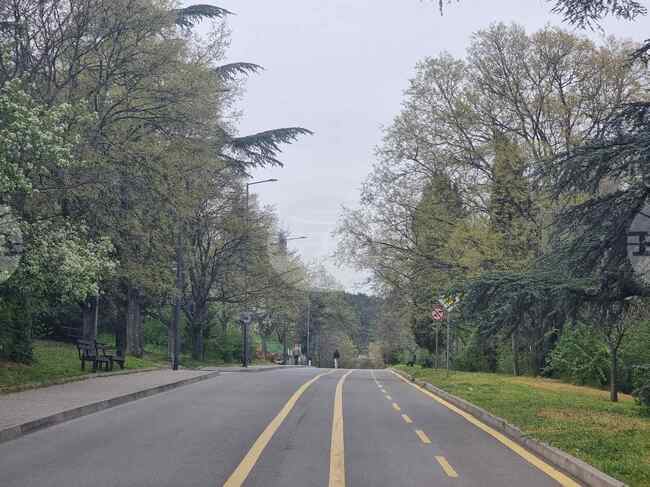 Започва цялостно обследване на дърветата и храстите в парк „Митрополит Методий Кусев“ в Стара Загора