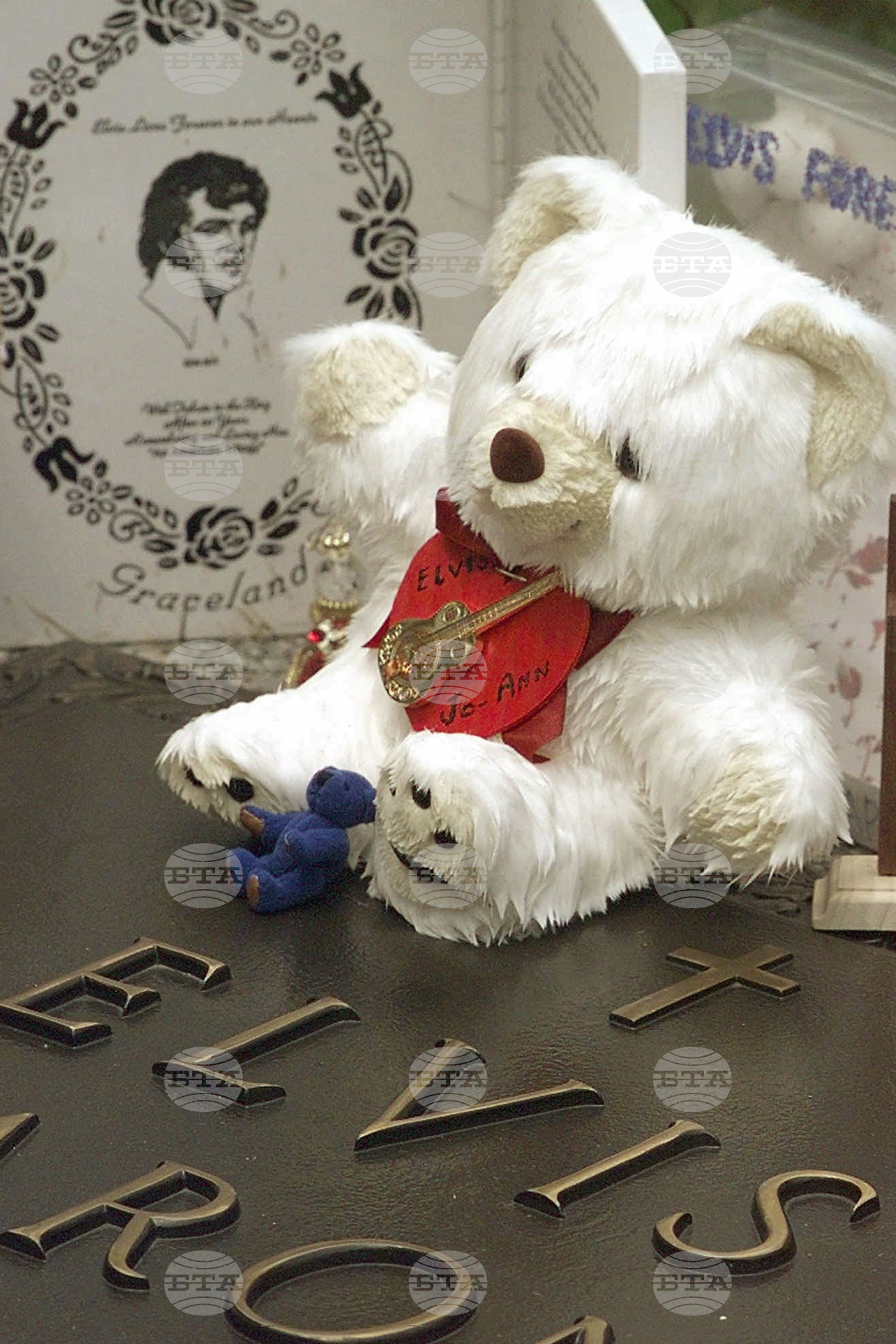 America 250 Objects Teddy Bear