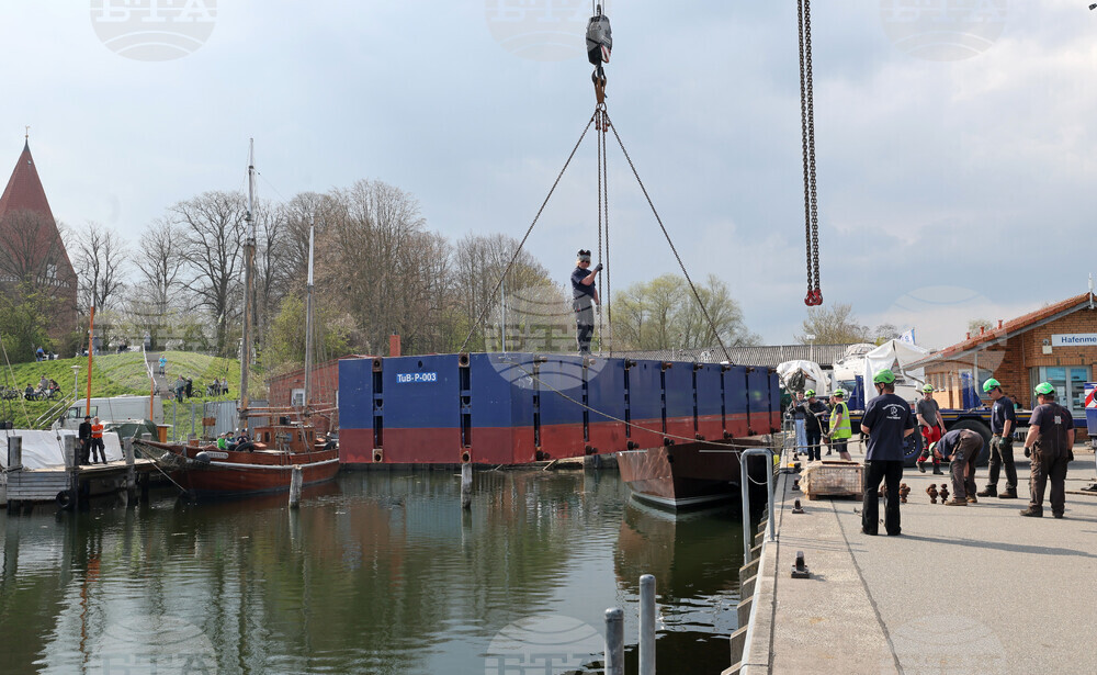 Germany Whale Rescue