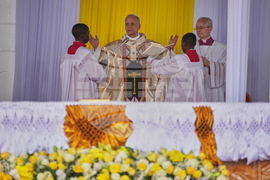 Cameroon Africa Pope