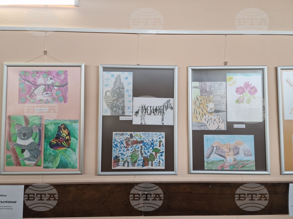 Самоков - Общинска библиотека - изложба на детски рисунки