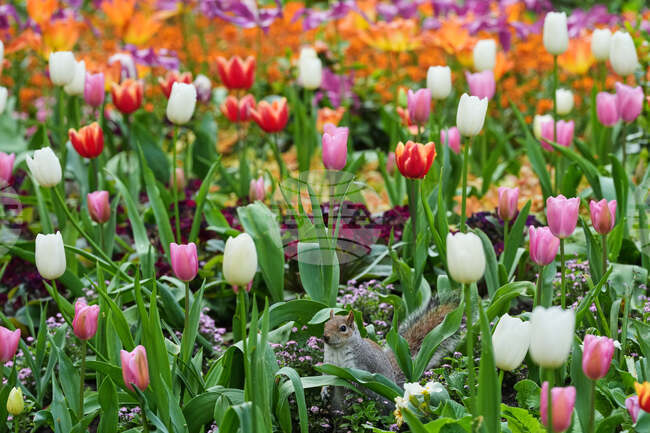 APTOPIX Britain Daily Life