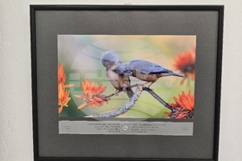 Плевен - фото изложба „Избрано“