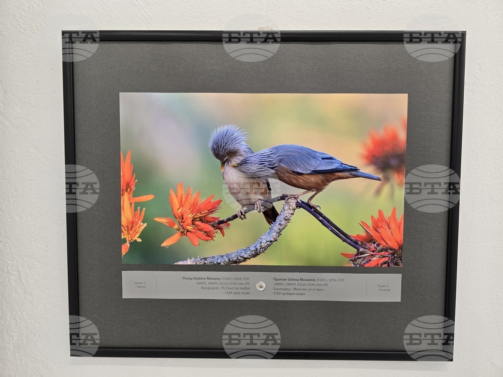 Плевен - фото изложба „Избрано“