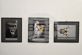 Плевен - фото изложба „Избрано“