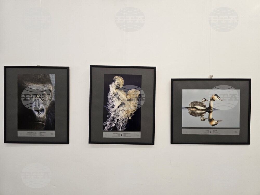 Плевен - фото изложба „Избрано“