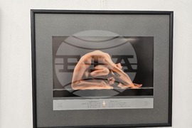 Плевен - фото изложба „Избрано“