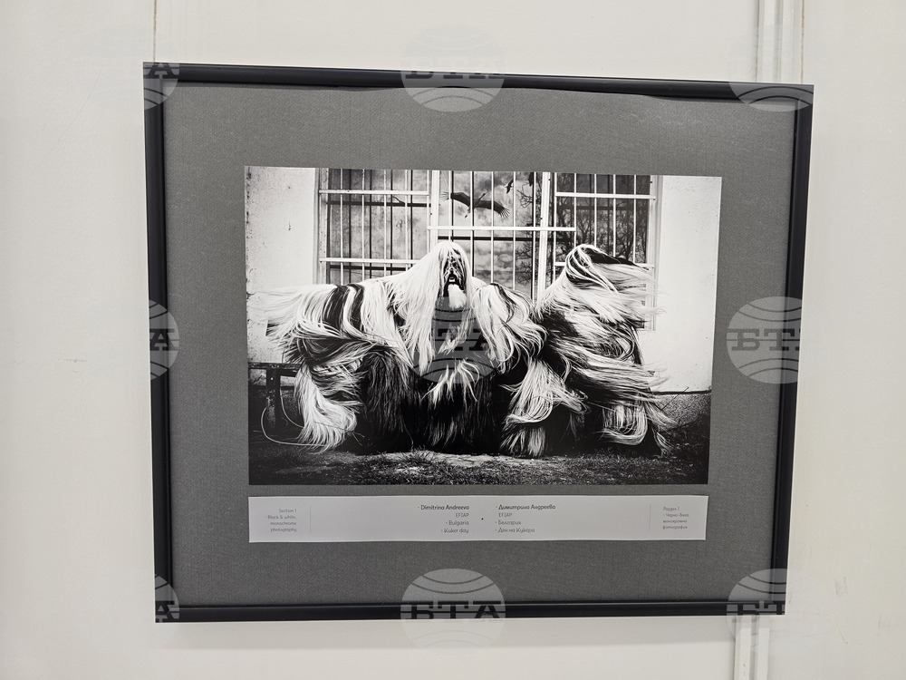 Плевен - фото изложба „Избрано“