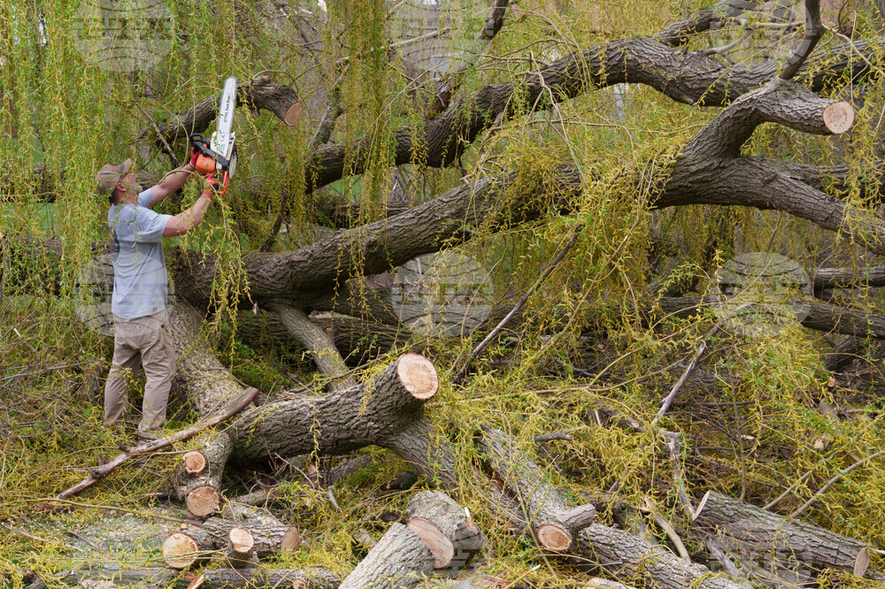 Severe Weather Wisconsin