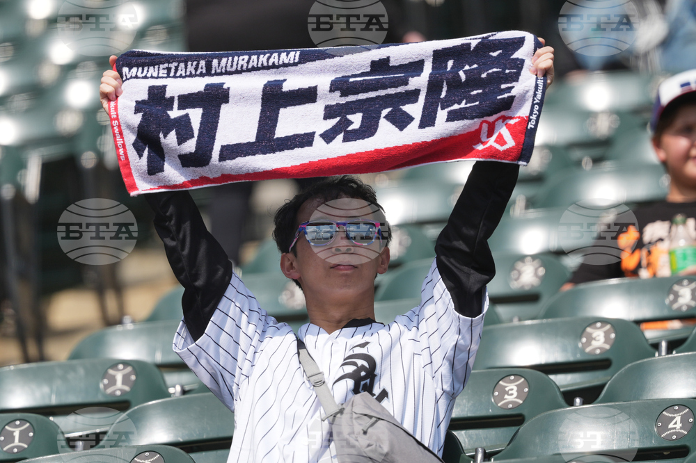 Rays White Sox Baseball