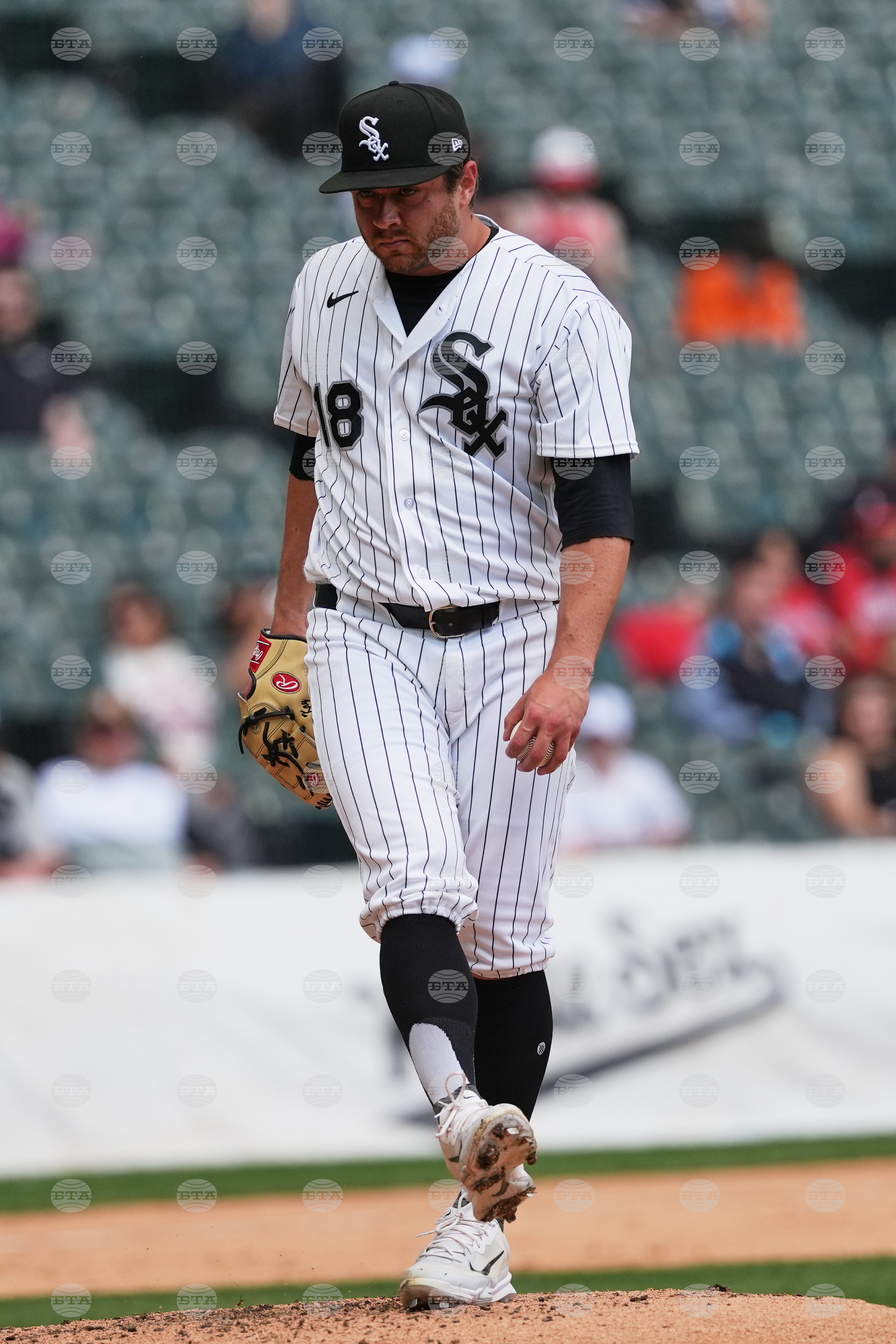 Rays White Sox Baseball