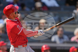 Angels Yankees Baseball