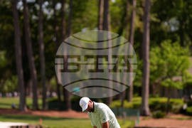 RBC Heritage Golf