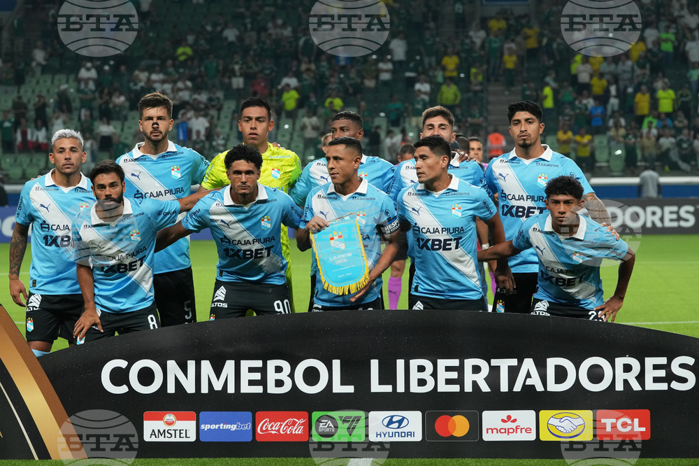 Brazil Peru Copa Libertadores Soccer