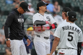 Rays White Sox Baseball