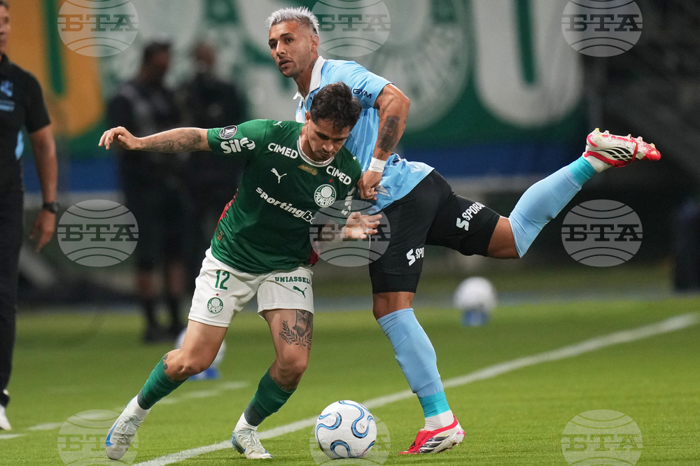 Brazil Peru Copa Libertadores Soccer