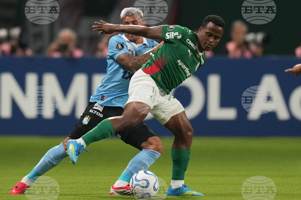 Brazil Peru Copa Libertadores Soccer