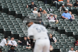 Rays White Sox Baseball